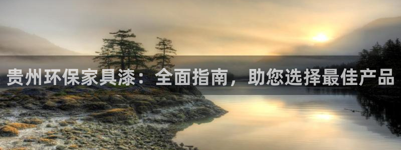 杏耀软件