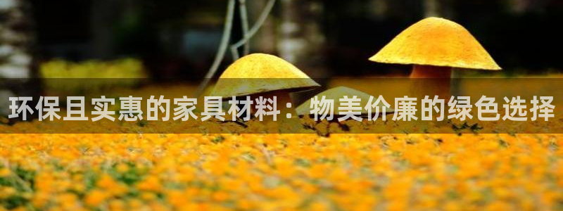 杏耀平台已7O777