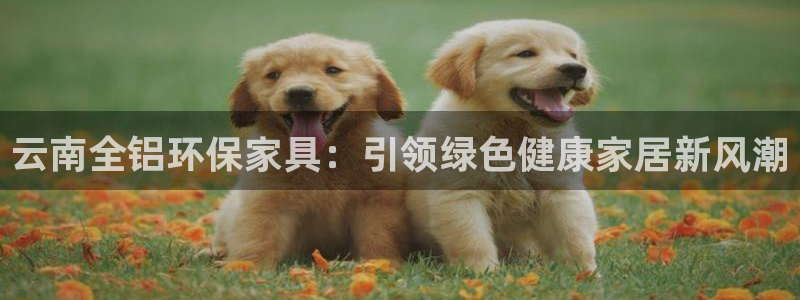 杏耀平台黑款