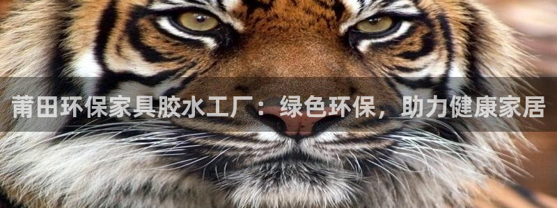 杏耀平台怎么样