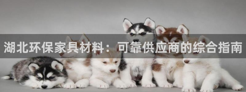杏耀平台招商的流程