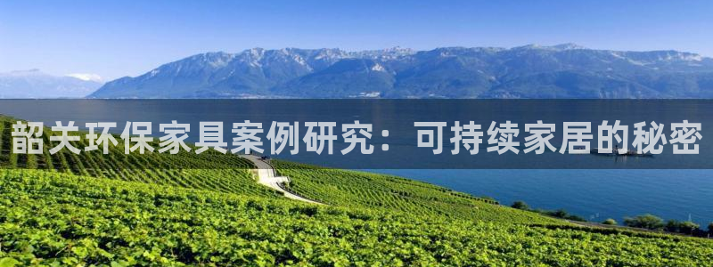杏耀平台测速地址：韶关环保家具案例研究：可持续家居的秘密