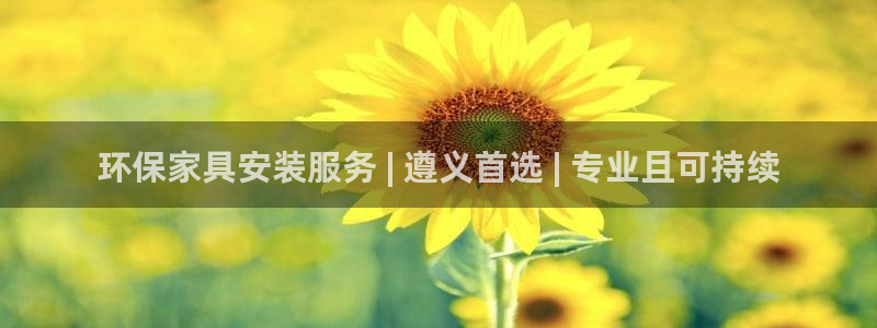 杏耀手机登录线路测速