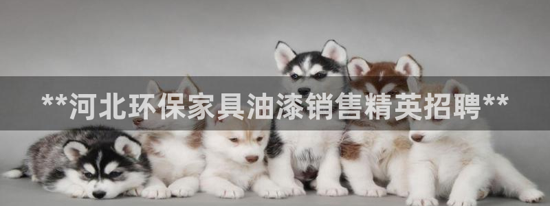 杏耀平台手机下载