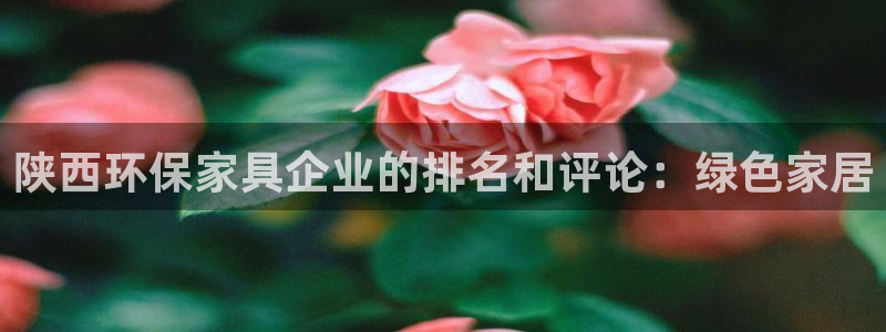 杏耀管网登录