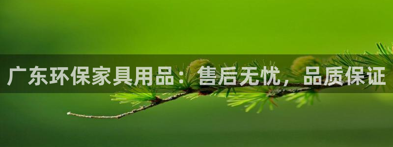 杏耀代理日工资多少