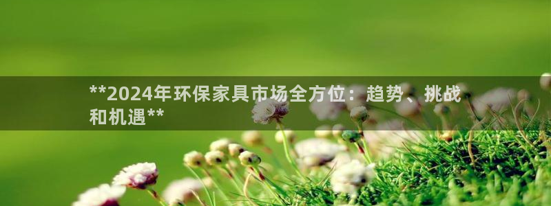 杏耀代理官网：**2024年环保家具市场全方位：趋势、挑战
