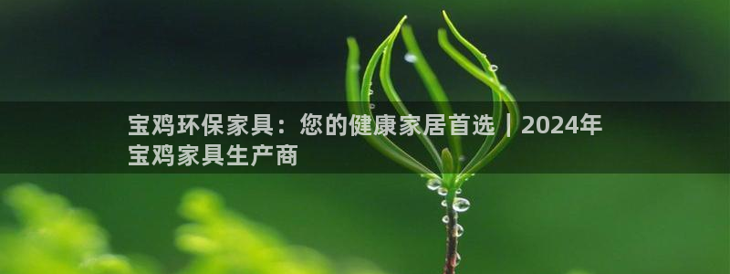 杏耀平台下载：宝鸡环保家具：您的健康家居首选｜2024年
宝