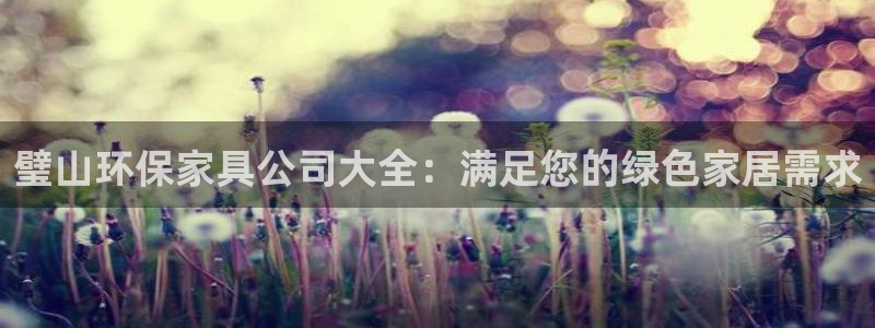 杏耀登陆测速：璧山环保家具公司大全：满足您的绿色家居需求