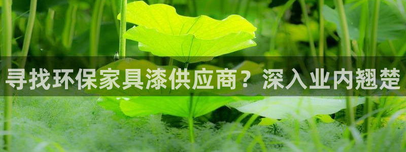 杏耀平台登录网站：寻找环保家具漆供应商？深入业内翘楚