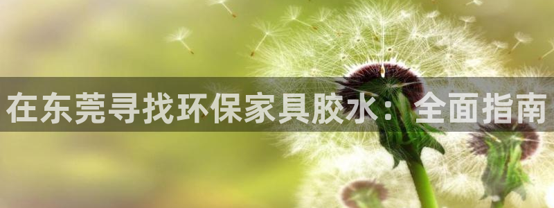 杏耀注册杏耀登陆：在东莞寻找环保家具胶水：全面指南