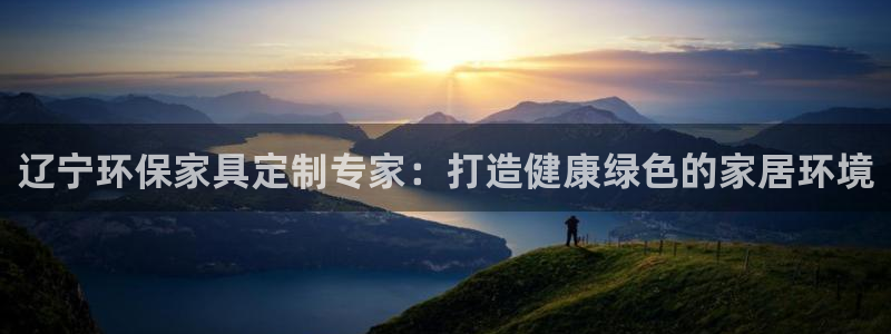 杏耀平台登陆测速：辽宁环保家具定制专家：打造健康绿色的家居环