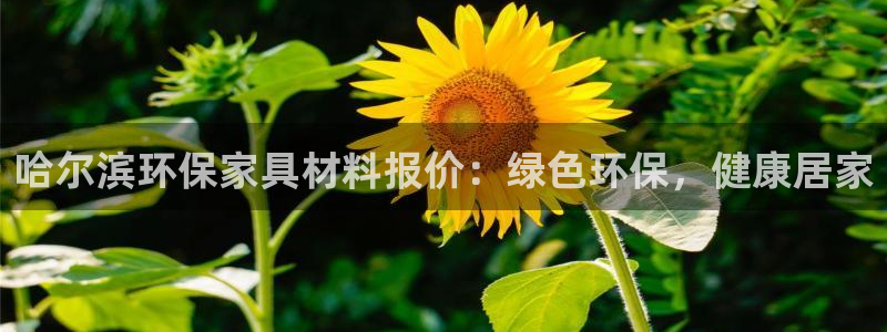 杏耀注册app：哈尔滨环保家具材料报价：绿色环保，健康居家