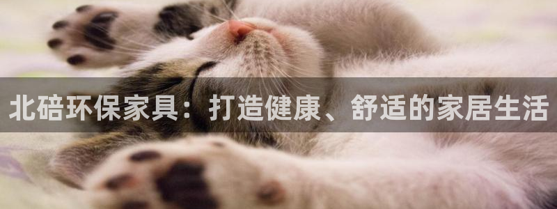 杏耀平台在线注册：北碚环保家具：打造健康、舒适的家居生活