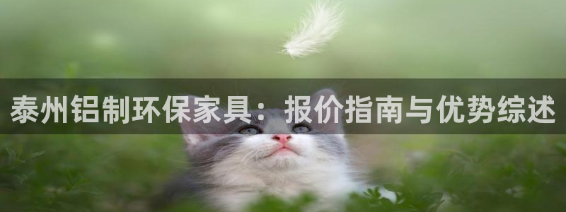 杏耀是什么平台：泰州铝制环保家具：报价指南与优势综述