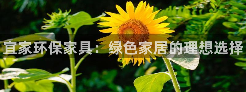 杏耀平台登陆地址