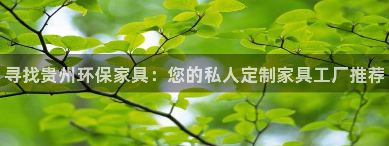杏耀注册杏耀登陆：寻找贵州环保家具：您的私人定制家具工厂推荐