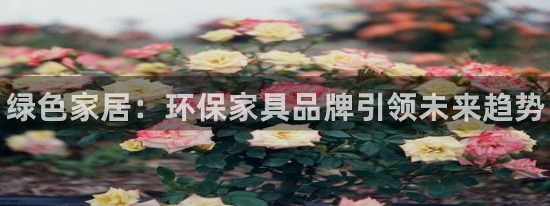 杏耀平台没有了：绿色家居：环保家具品牌引领未来趋势