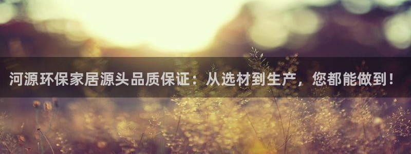 杏耀app怎样申请退款：河源环保家居源头品质保证：从选材到生