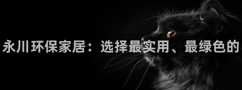 杏耀平台代理登录网址是多少：永川环保家居：选择最实用、最绿色